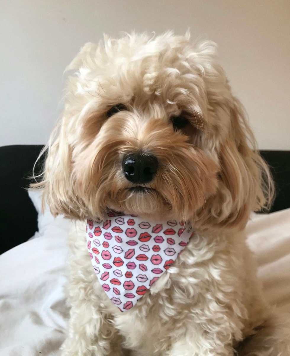 Thumbnail: Mwah Bandana