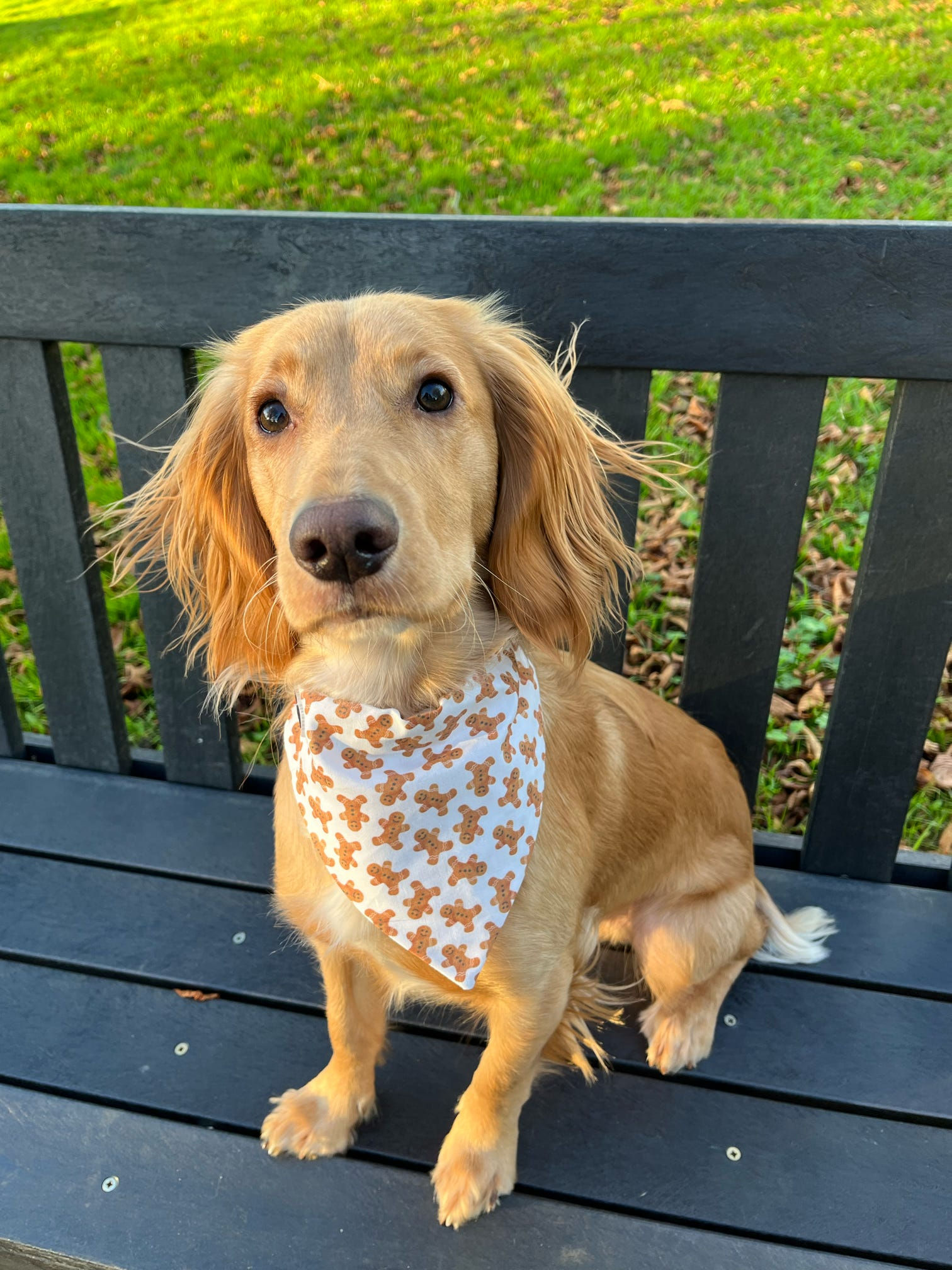 White Gingerbread Bandana