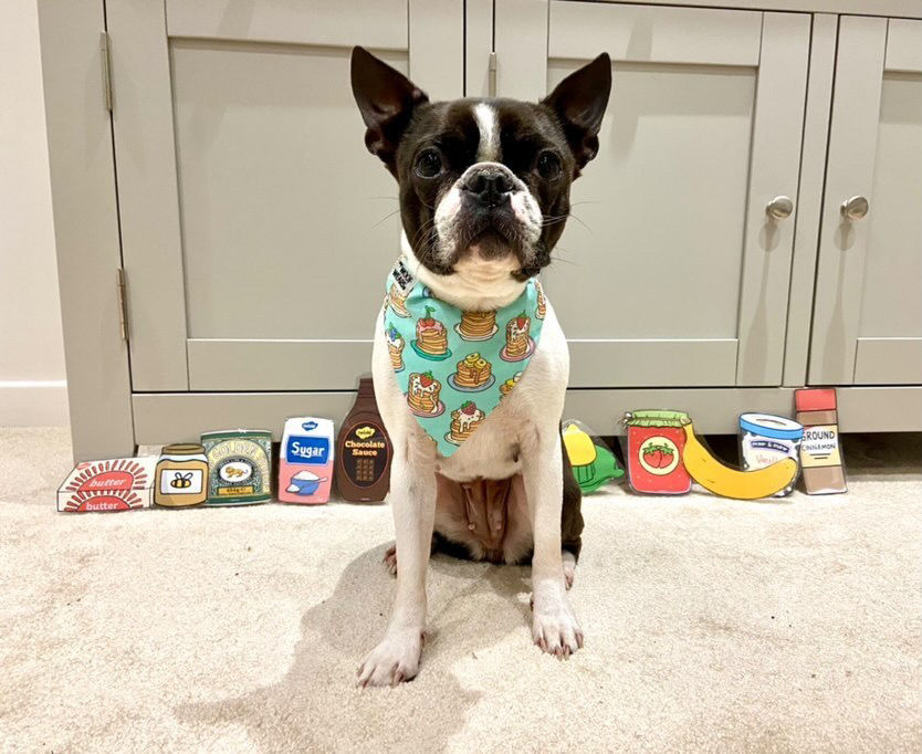 Thumbnail: Pancake Stack Bandana