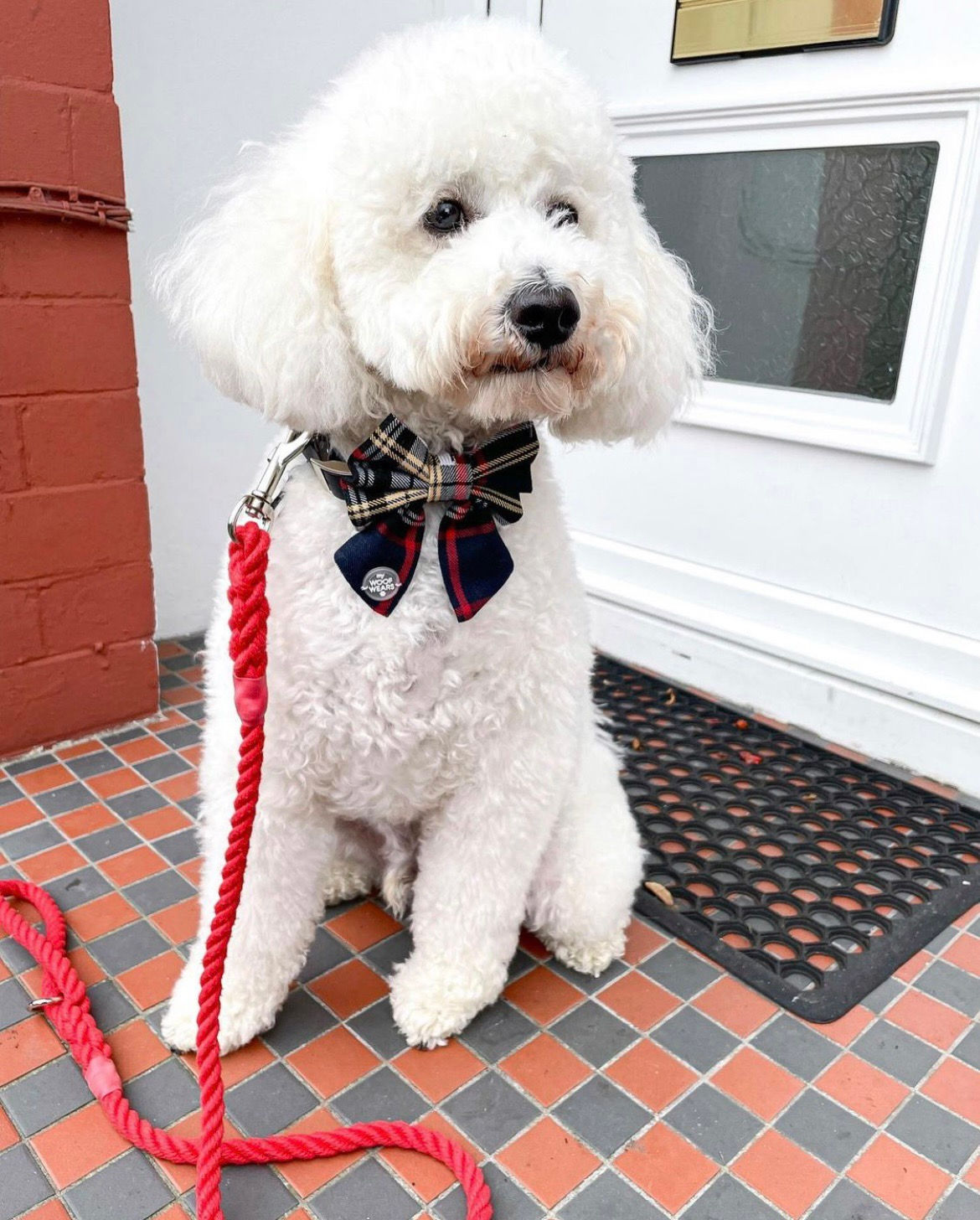 Black Plaid Sailor/Bow Tie