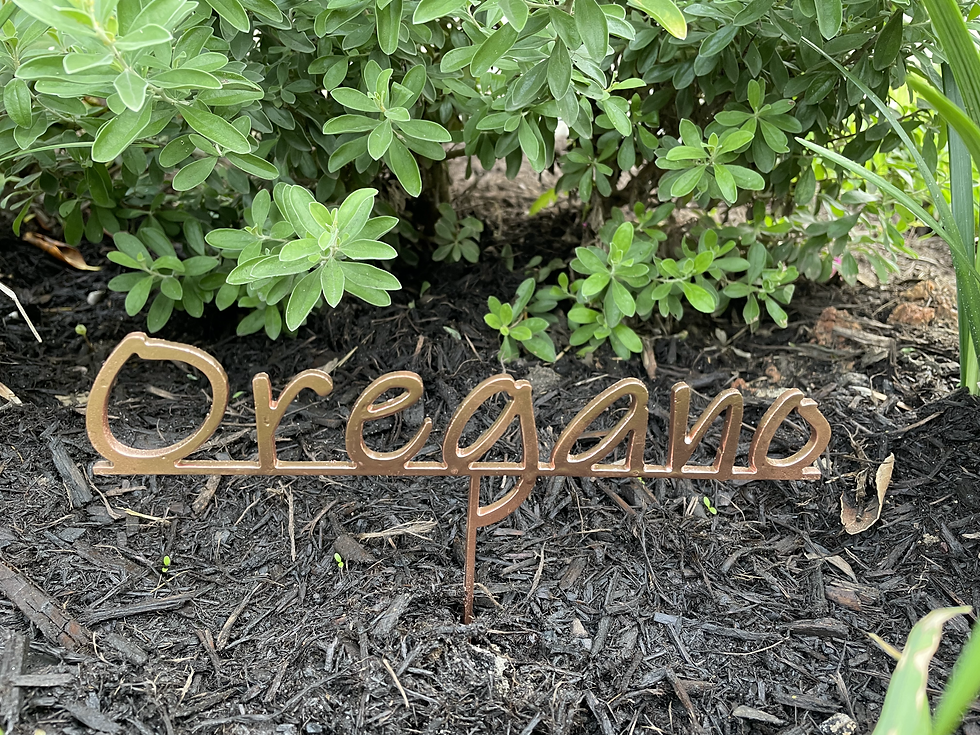 Thumbnail: Garden Plant Signs