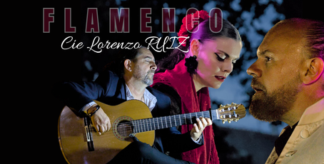 Compagnie Lorenzo RUIZ