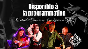Spectacles de flamenco avec la Compagnie Lorenzo Ruiz – une expérience artistique immersive pour vos événements.