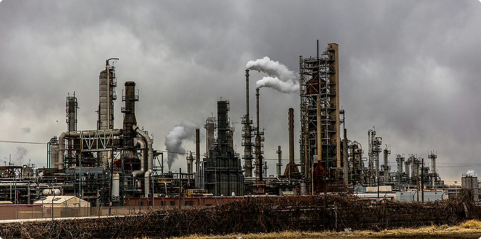 patrick-hendry-6xeDIZgoPaw-unsplash 1.png