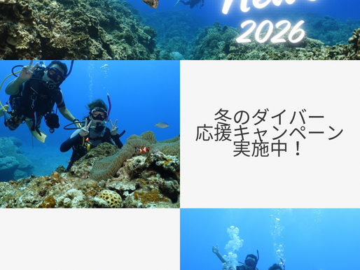 オープンウォーターダイバーコース取得希望者必見！超お得なキャンペーン開催中！