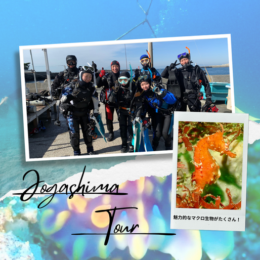 2月はマクロ&ウミウシ天国!城ヶ島ツアーへ!