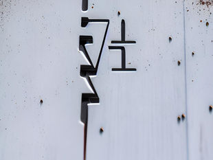 The Collective Unconscious and the Survival of Life on Earth