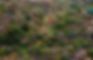 Gallop Aerial Crop.jpg