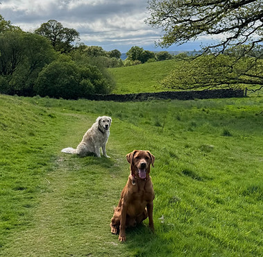 Jessie and Brecon