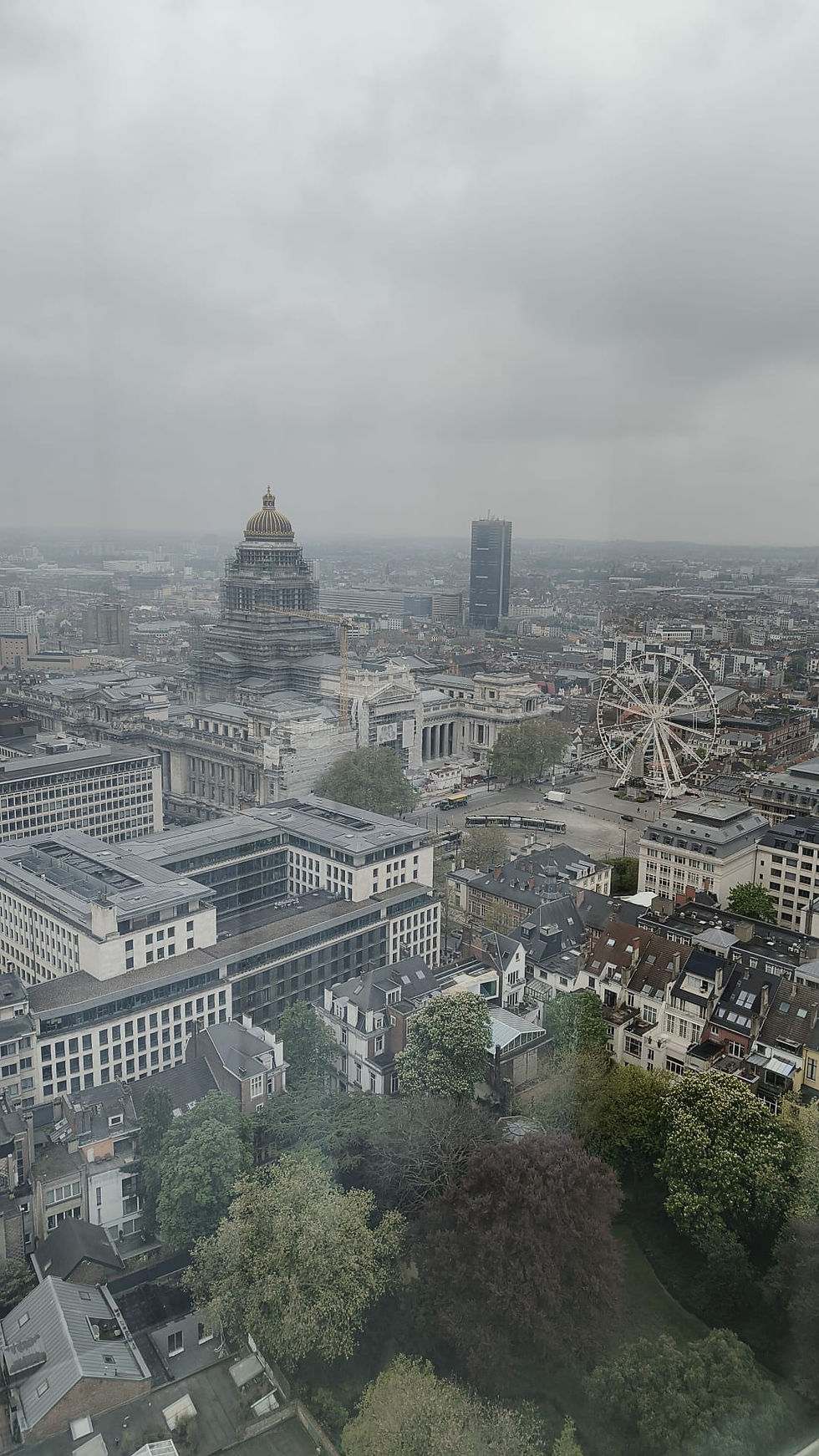 IHI Coordinator Training Day