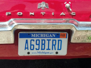 PHOTOS: 15 New Photos Added to "Plate It Your Way" Album