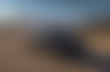 Chevrolet Finally Gave the C8 Its Grand Sport, and Then It Gave It a Gym Buddy