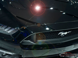 PHOTOS: New Mustang Photo Added