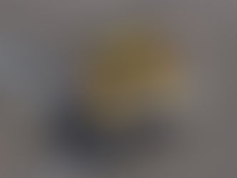 RACING: Viper GTS-Rs finished sixth and seventh Laguna Seca