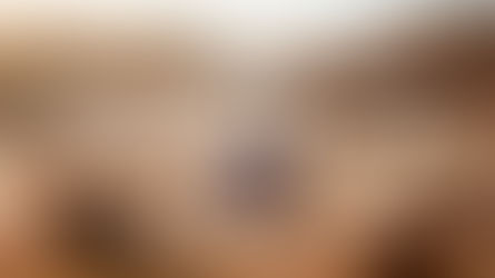 Twelve 4 Twelve: Jeep® Drops a Year of Legends