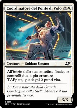 Coordinatore del Ponte di Volo