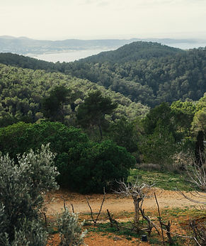 Plot for Sale Santa Eulària, Ibiza