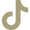 TikTok icon_green