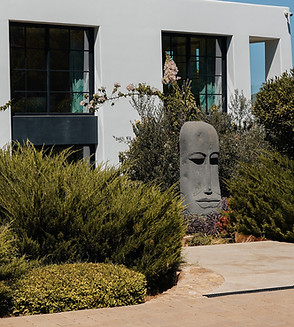 Can Arie - modern white Ibiza villa surrounded by natural hillside vegetation