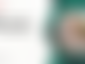 What an IT Audit Professional Does