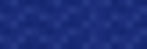 PARAKEET_BG_edited_edited.jpg