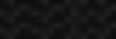 PARAKEET_BG.jpg