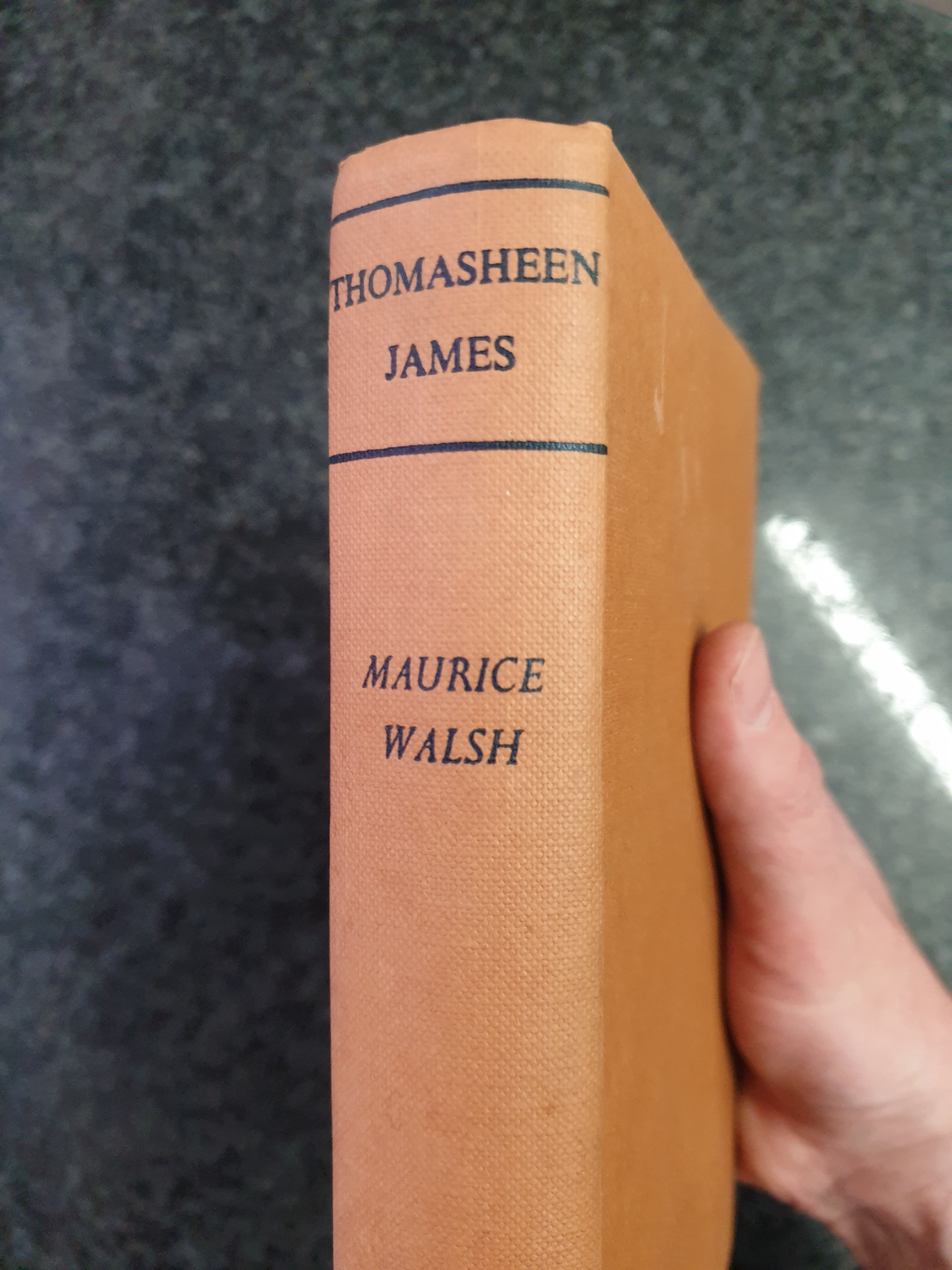 Thomasheen James by Maurice Walsh