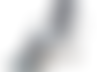 플레블 전동식 환자 운반기