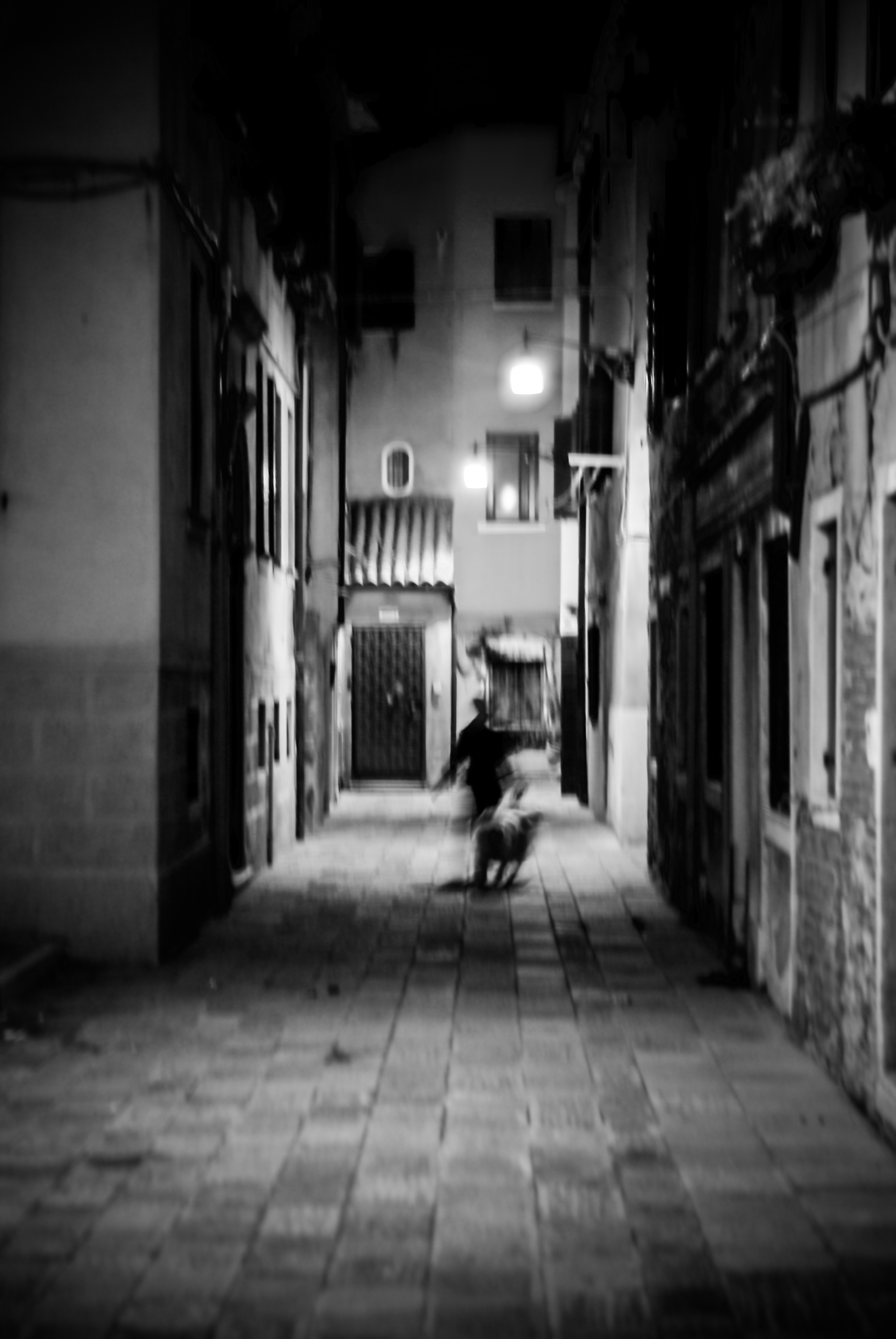 Seul Ami de l'Homme