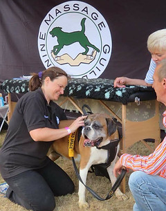 Free Canine Muscular Health Check at local dog show