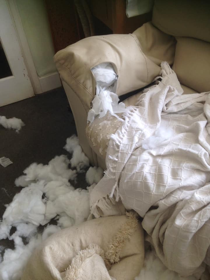 wrecked furniture
