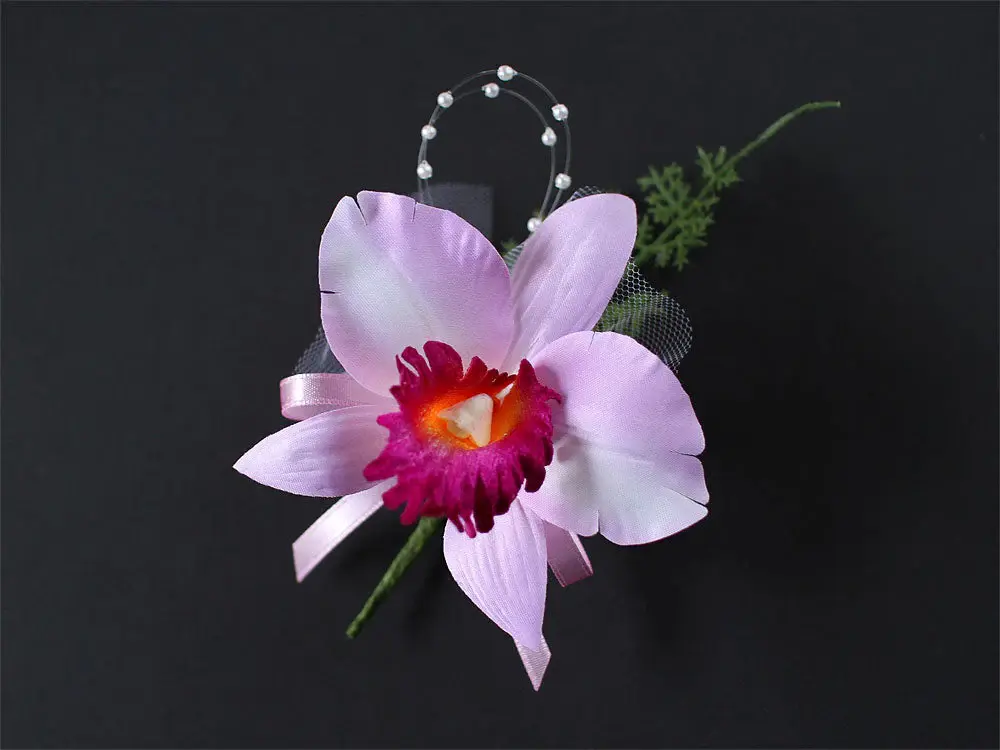 カトレアシャイン×1輪