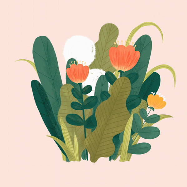 hua_Animated_Colored_V07_1_1.gif