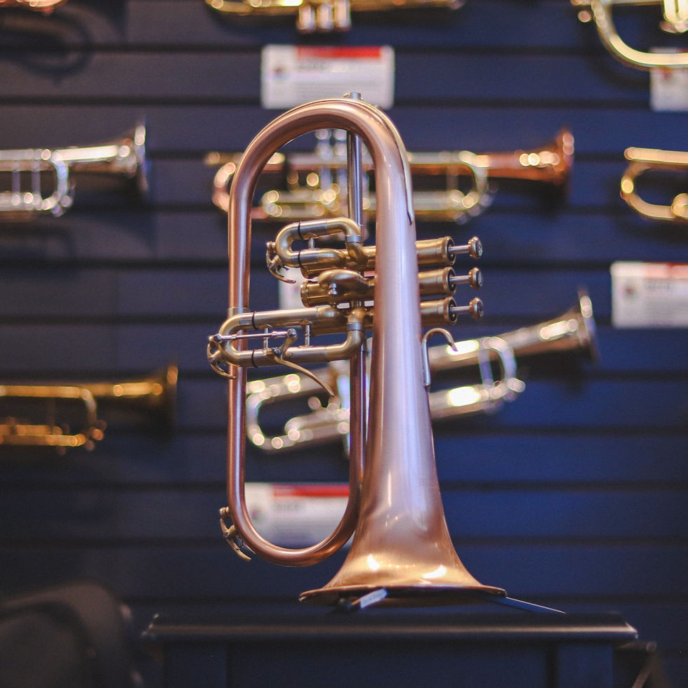 Blessing BFH-1541RT Brushed Brass Flugelhorn