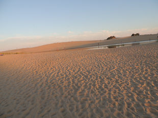 Trip to the Outer Banks