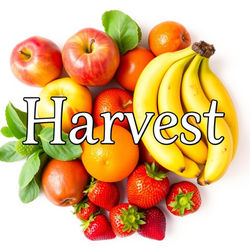 2026 Harvest Schedule