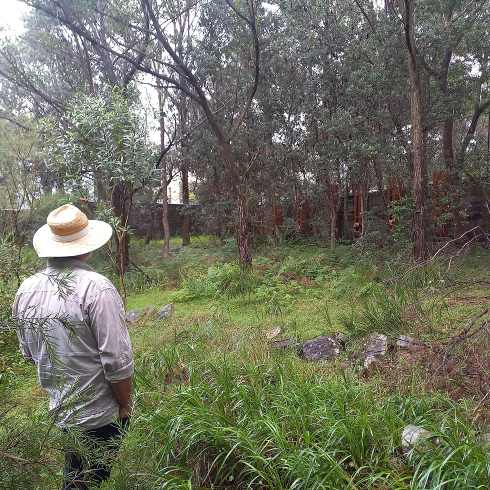 man in the bush