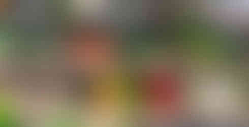 Fourth Village vegetables