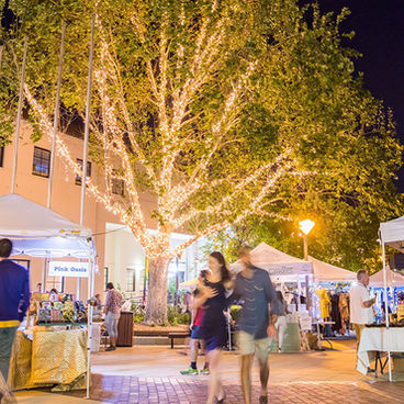 What’s On in Mosman
