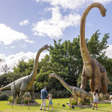 Mega Creatures at Hunter Valley Gardens