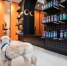 The Fur Salon & Dental