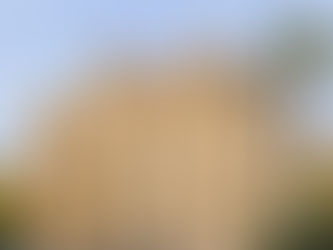 History of Glebe Town Hall