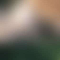 Pets make us better humans