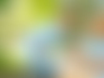 YourLink, Linking Seniors to Technology