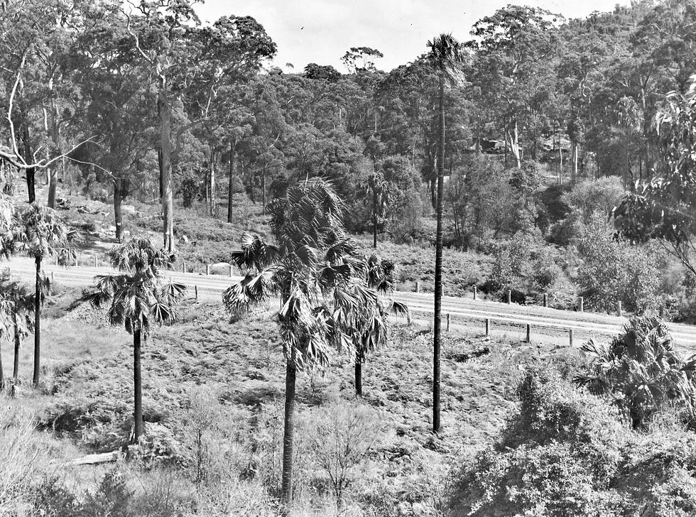 Wakehurst Parkway