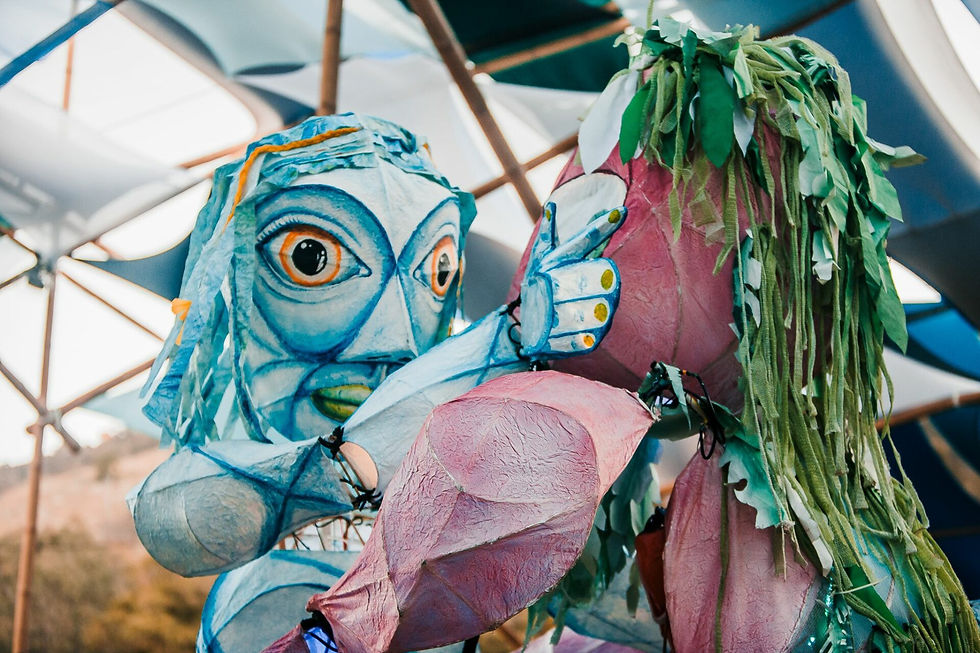 Festival of Mosman 2026