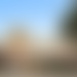 Big changes for Mosman with new planning laws