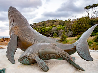 Top Picnic Spots Around Sutherland