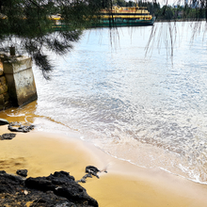 Balmain’s Bloody Tide: The Waterview Murder Conspiracy of 1831