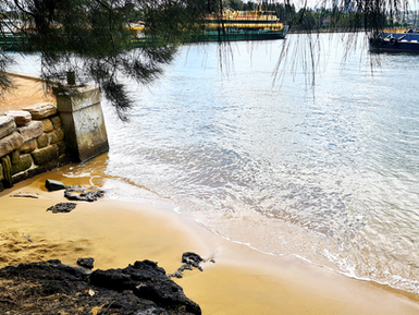 Balmain’s Bloody Tide: The Waterview Murder Conspiracy of 1831
